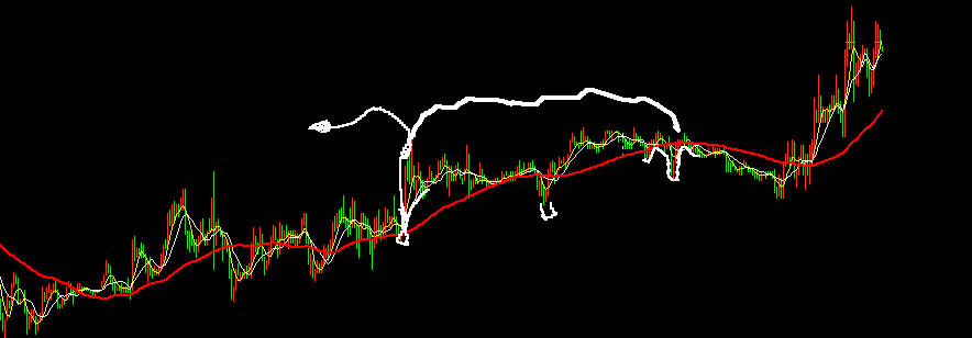 {CECBA2F2-2DCB-4A78-8F90-33114E40070E}.jpg